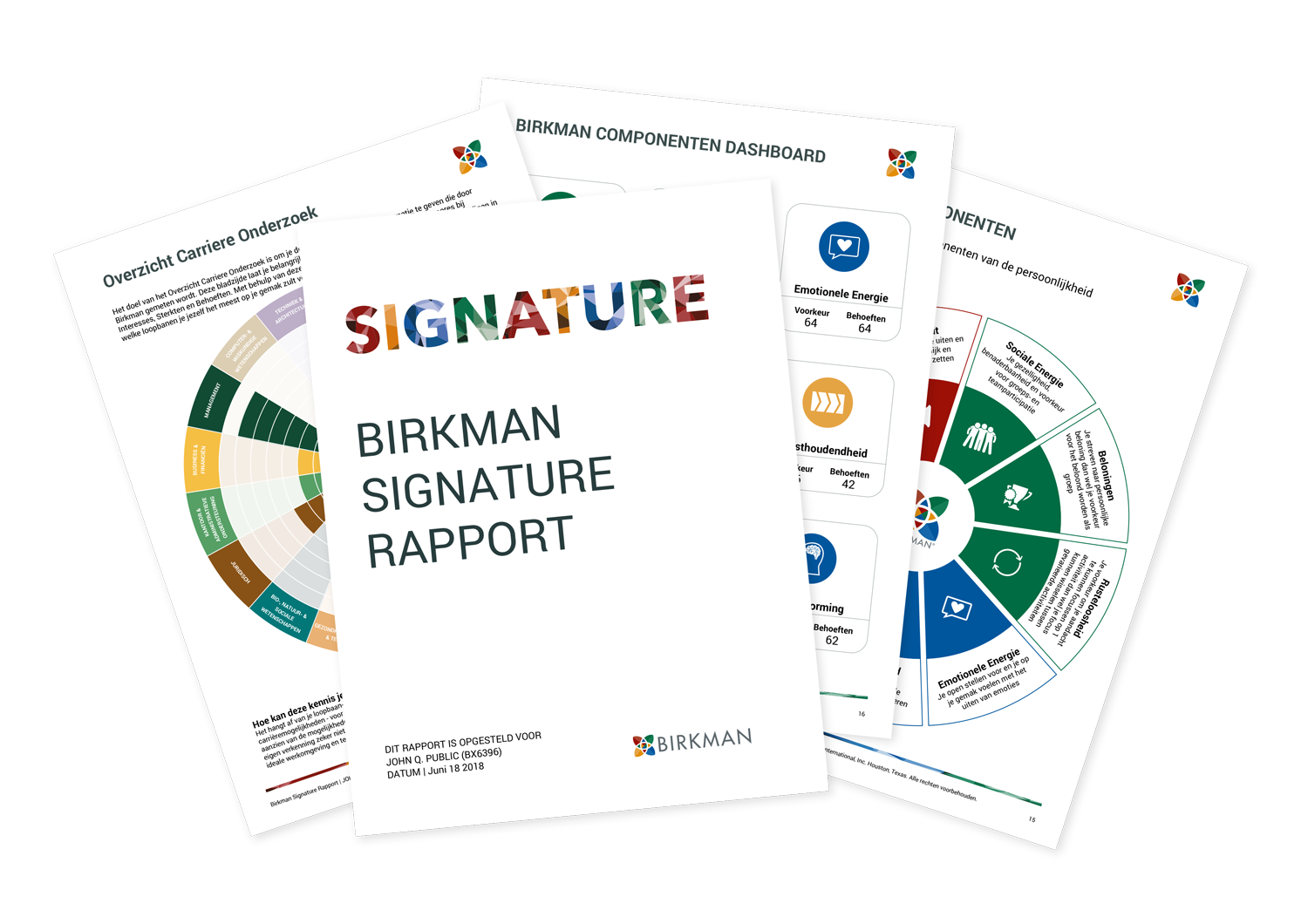 birkman signature rapport