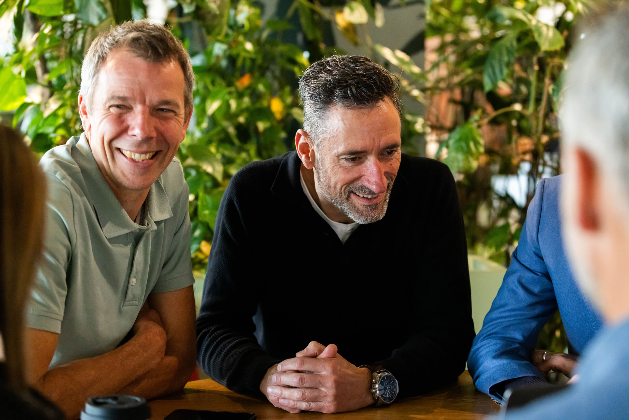 meerkat team 56